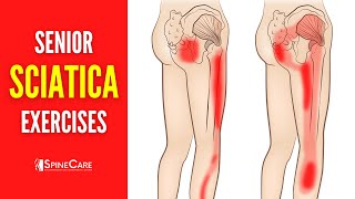 EASY Sciatica Pain Relief Exercises for Seniors [upl. by Anirbas]