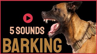 5 Dog Barking Sounds To Make Your Dogs Bark [upl. by Ahtennek]