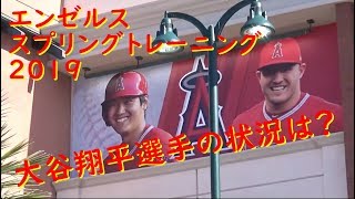 【大谷翔平選手の状況は？】エンゼルス スプリング トレーニング Angels Spring Training ARZ 2019 [upl. by Connor773]