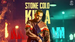 stone cold killa edit 4k60fps aavesham ranga [upl. by Novj]