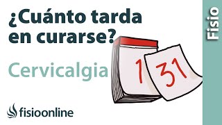 Cuánto tarda en curarse una CERVICALGIA o dolor de cuello [upl. by Ailhat]