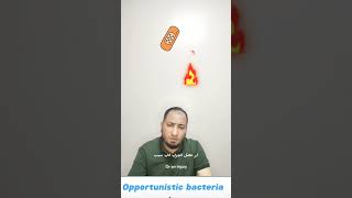 Opportunistic bacteria البكتريا الانتهازية microbiology medicalstudent [upl. by Dinah]