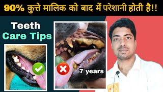 Three Pro tips to  Care dogs teeth Lifetime 🔥🔥 [upl. by Ecilayram]