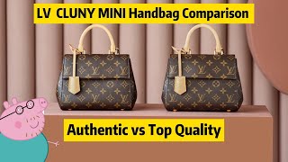 Louis Vuittons CLUNY MINI M46055 Bag Comparison By Steven [upl. by Ettenahs]