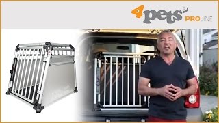 Cesar Millan and Junior recommend the 4pets ProLine dog boxes [upl. by Ellebyam603]