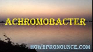 How To Pronounce ACHROMOBACTER [upl. by Inanuah]