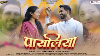 Payaliya पायलिया Ankit Chankhwan amp Sheetal Dhoundiya  Pahari Song 2024  Latest Garhwali Song [upl. by Eillo48]