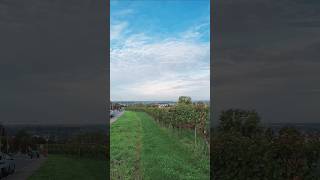 Blick in die Pfalz von Weinheim aus [upl. by Healion]