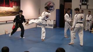 New Taekwondo Black Belt Demonstration [upl. by Melmon]