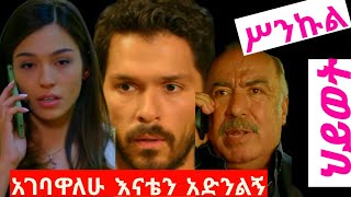 ሥንኩል ህይወት ክፍል 31 sinkul hiwet episode 31 አንቀፅ ምእራፍ 2 [upl. by Blaze]