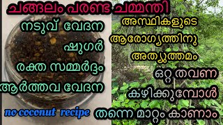 How to make Changalamparanda chammanthi ചങ്ങലംപരണ്ട ചമ്മന്തി  Health benefits of changalamparanda [upl. by Iasi690]