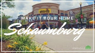 Neighborhood Facts  Schaumburg Illinois [upl. by Clymer619]