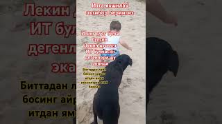 s 🐶Итинг дуст булса булсин дустинг ИТ булмасин🐶 s 🐶 [upl. by Cheney]