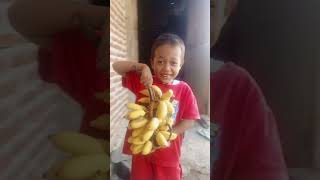 Pisang matang [upl. by Meikah]