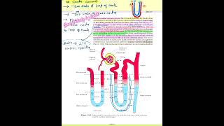 Class 11 Biology  Excretory products and their elimination Imppoint Written  CBSE  NCERT  NEET [upl. by Trocki841]