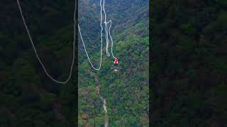 The thrill of free fall Zhangjiajie Grand Canyon Glass Bridge Bungee Jump [upl. by Dlanger]