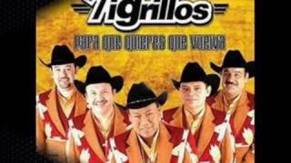 Los tigrillos Mix de Cumbias Viejitas [upl. by Areek]