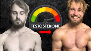 Boost Testosterone Naturally My Journey to Over 900 ngdL [upl. by Annahsit]