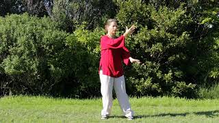 Español Tai Chi 5 Minutos al Día  Módulo 04 [upl. by Juna19]