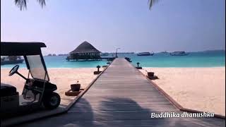 Angsana Velavaru Resort in Maldives travel resort hotels [upl. by Carolee]