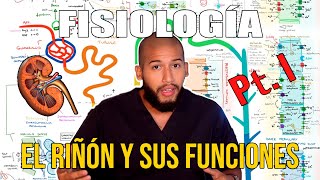 Fisiología Renal Pt 1  Anatomía Funcional del Riñón Funciones Nefrona Irrigación [upl. by Auqinahc387]