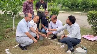 Mr Ajaz Ahmad Bhat IAS Dir Sericulture JampK today inaugurated the distribution of Silkworm Seed [upl. by Zelig563]