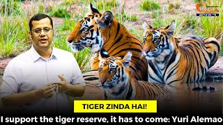 Tiger Zinda hai I support the tiger reserve it has to come Yuri Alemao [upl. by Teews605]