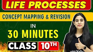 LIFE PROCESSES in 30 Minutes  Mind Map Series for Class 10th [upl. by Elleraj126]