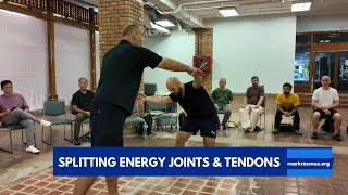 Splitting energy  plucking joints and tendons  Elastic Force Chi Kung Instructors Workshop 2024 [upl. by Eelnayr]