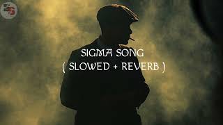 SIGMA RULE Song slowed  Reverb lofi [upl. by Tristis]