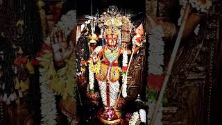 Om Saravana Bhava powerful murugan song music tamilsong tranding popularsong [upl. by Coshow]