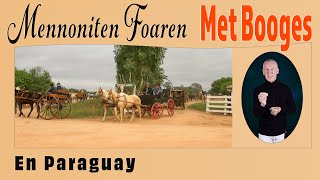 Mennoniten Foaren Met Booges [upl. by Aurie]