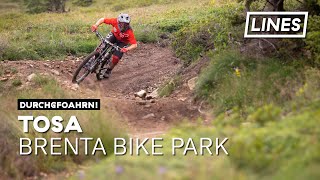 Tosa  Brenta Bike Park  LINES [upl. by Stephine]