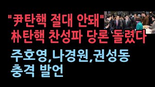 내일 윤대통령 탄핵 표결 박근혜 탄핵 찬성파가 당론 돌렸다 주호영 나경원 권성동 유영하의 충격 발언 [upl. by Nivad]