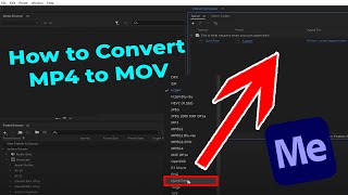 How to Convert MP4 to MOV in Adobe Media Encoder [upl. by Naraj]