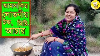 আমলকির টক মিষ্টি আচার amloki achar [upl. by Thorlie994]