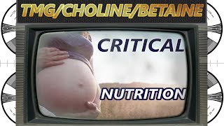 Choline deficiency and IQ decline in western civilization [upl. by Zsamot221]