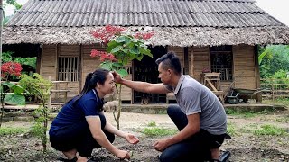 full video 210 days building a new life together harvesting  cooking  Ly Tieu An [upl. by Hau]