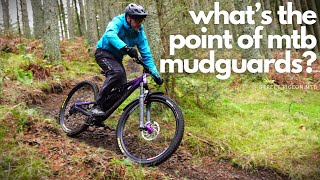 Does the best MTB mudguard actually make a difference [upl. by Leahcimsemaj]