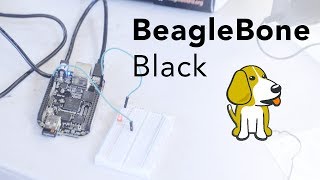 BeagleBone Black Hello World and Python PWM How to use a beaglebone board [upl. by Rabassa]