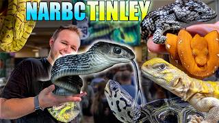 The RAREST Reptiles at TINLEY PARK NARBC 2024 [upl. by Akela]