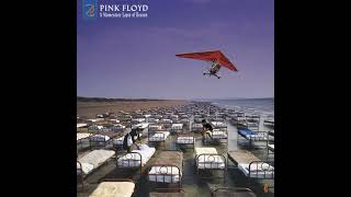 Pink Floyd  The Dogs Of War Remixed 2019 amp Extended in 2024 [upl. by Llertnod]