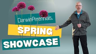 Darwin Darwin Perennials Spring Showcase 4k [upl. by Mw506]