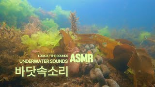 바닷속 소리 ASMR 자연속으로의 편안한 백색소음을 스쿠버다이버가 직접 촬영 3hr [upl. by Parsifal]