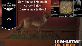 2024 New England Mountains Coyote Guide  Thehunter Call of the Wild [upl. by Eltotsira]