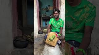 Natural method of mango ripening✌️எங்க அம்மாக்கு ஒருத்தங்க மாங்கா கொடுத்தாவ அத பழுக்க வைக்க போறோம்✌️ [upl. by Enelrac662]