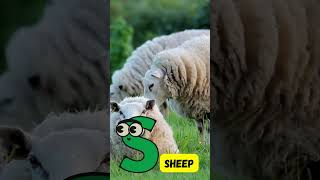 S Song 🎶  Fun Alphabet Learning with S Words for Kids  abcd kids viralvideo shorts learning [upl. by Naniac]