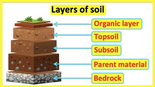 Layers of soil  Structure of the soil  Educational Science Lesson [upl. by Aitnic]