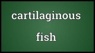 Cartilaginous fish Meaning [upl. by Petigny]