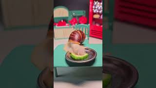 70 Adorable Snail Eats Cucumber in a Mini Kitchen  Tiny Snail Food Adventure [upl. by Esilehc]